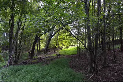 Tract E Hanging Rock Forest Road #Tract E, Danbury, NC 27016 - Photo 8