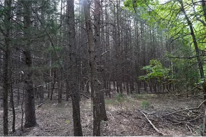 Tract E Hanging Rock Forest Road #Tract E, Danbury, NC 27016 - Photo 6