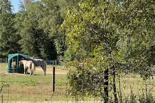 914 Lampton Ct, Jamestown, NC 27282 - Photo 38