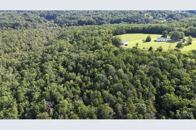 Tract D Hanging Rock Forest Road #Tract D, Danbury, NC 27016 - Photo 16