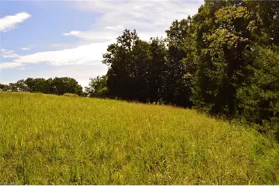 Tract D Hanging Rock Forest Road #Tract D, Danbury, NC 27016 - Photo 2