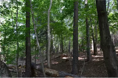 Tract F Hanging Rock Forest Road #Tract F, Danbury, NC 27016 - Photo 6