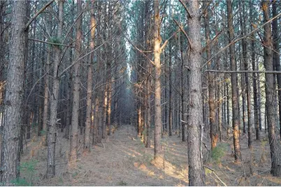 610 Duck Drive, China Grove, NC 28023 - Photo 14