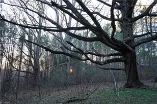 610 Duck Dr, China Grove, NC 28023 - Photo 28