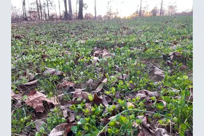 610 Duck Drive, China Grove, NC 28023 - Photo 22