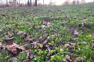 610 Duck Dr, China Grove, NC 28023 - Photo 22