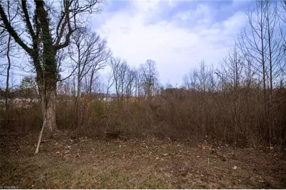 0 Bill Medlin Road, Lexington, NC 27292 - Photo 8