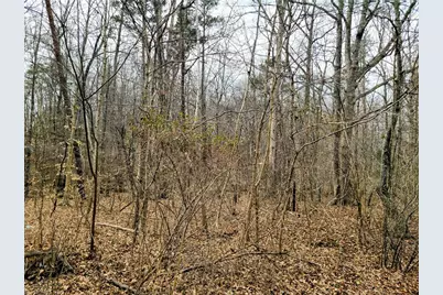 804 Whitsett Avenue, Gibsonville, NC 27249 - Photo 14