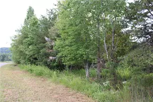 1662 Ralph Joyce Rd, Sandy Ridge, NC 27046 - Photo 28