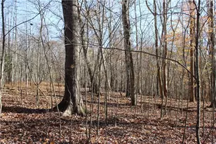 1662 Ralph Joyce Rd, Sandy Ridge, NC 27046 - Photo 30