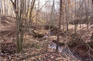 1662 Ralph Joyce Rd, Sandy Ridge, NC 27046 - Photo 32