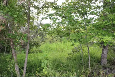 1662 Ralph Joyce Road, Sandy Ridge, NC 27046 - Photo 28