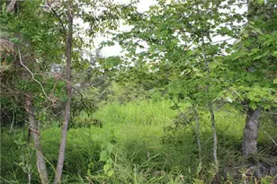 1662 Ralph Joyce Rd, Sandy Ridge, NC 27046 - Photo 28