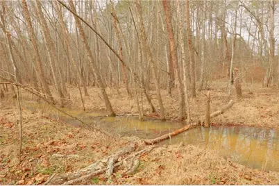 3351 Nc Highway 66 S, Westfield, NC 27053 - Photo 16