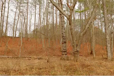 3351 Nc Highway 66 S, Westfield, NC 27053 - Photo 18