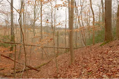 3362 Nc Highway 66 S, Westfield, NC 27053 - Photo 8