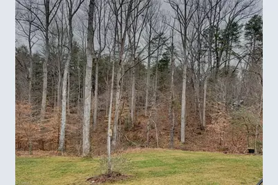 1020 Nauvoo Ridge Drive, Tobaccoville, NC 27050 - Photo 34