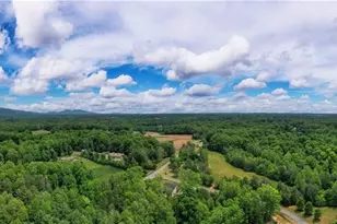 1020 Nauvoo Ridge Dr, Tobaccoville, NC 27050 - Photo 10