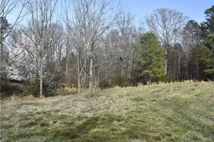 4850 Hopewell Church Rd, Trinity, NC 27370 - Photo 44