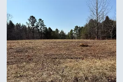 00 Lake Farm Road, Yanceyville, NC 27379 - Photo 8