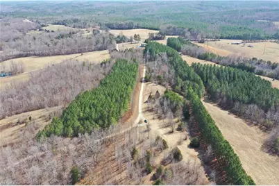 00 Lake Farm Road, Yanceyville, NC 27379 - Photo 6