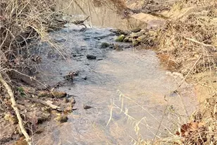 1259 Frank Joyce Rd, Sandy Ridge, NC 27046 - Photo 50