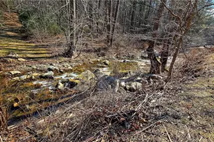 8043 N Old Nc Hwy 16, Millers Creek, NC 28651 - Photo 38