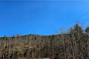 8043 N Old Nc Hwy 16, Millers Creek, NC 28651 - Photo 42