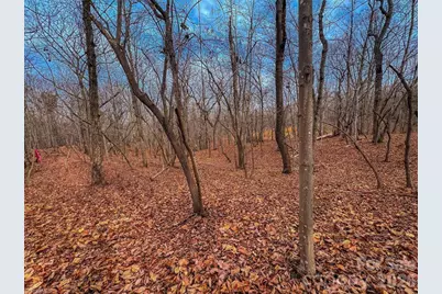 750 Palisade Trail, Denton, NC 27239 - Photo 14