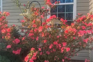 6908 River Gate Ct, Oak Ridge, NC 27310 - Photo 32