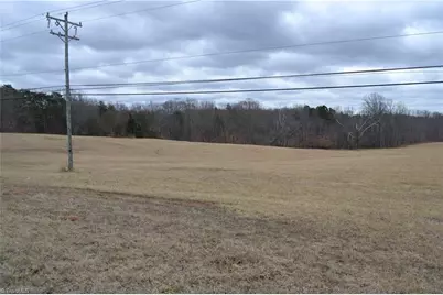 38 Acres Nc Highway 770, Stoneville, NC 27048 - Photo 4