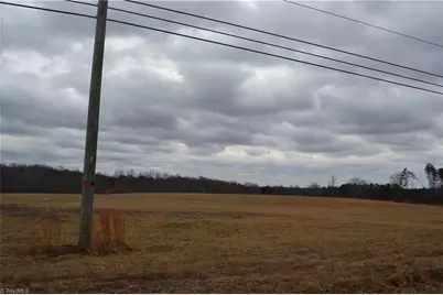 38 Acres Nc Highway 770, Stoneville, NC 27048 - Photo 6