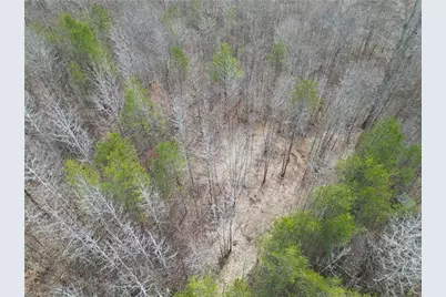 1200 Purcell Road, Reidsville, NC 27320 - Photo 24