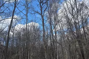 103 Chimney Ct, Jamestown, NC 27282 - Photo 1