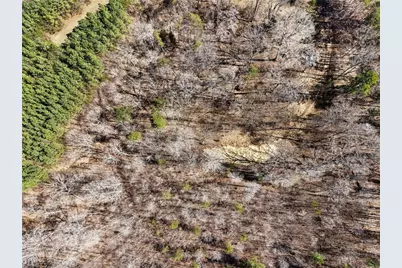 9770 Baux Mountain Road, Germanton, NC 27019 - Photo 12