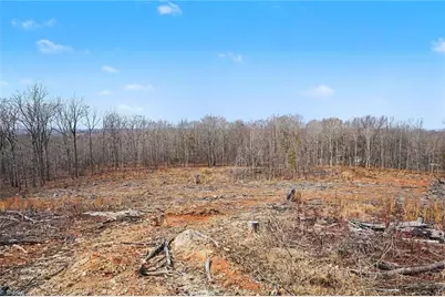 0 Holder Inman Road, Randleman, NC 27317 - Photo 4