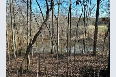 11.05 Acres Elmore Road, Leasburg, NC 27291 - Photo 2