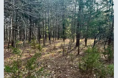 11.05 Acres Elmore Road, Leasburg, NC 27291 - Photo 4