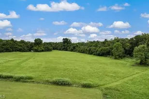 414 Lynrock St, Eden, NC 27288 - Photo 44