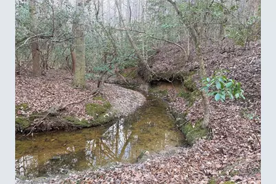 Lot 8 Thompson Road, Seagrove, NC 27341 - Photo 2