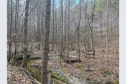 Lot 8 Thompson Road, Seagrove, NC 27341 - Photo 10