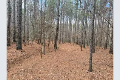 Lot 8 Thompson Road, Seagrove, NC 27341 - Photo 16