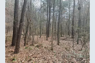 Lot 8 Thompson Road, Seagrove, NC 27341 - Photo 14