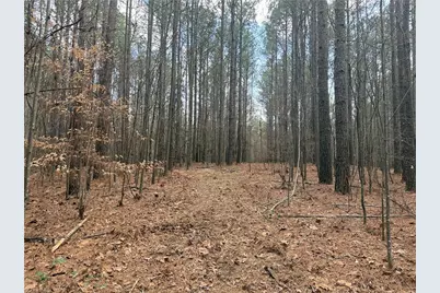 Lot 8 Thompson Road, Seagrove, NC 27341 - Photo 18