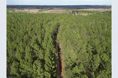 Lot 8 Thompson Road, Seagrove, NC 27341 - Photo 26