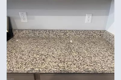 7329 Dew Sharpe Road, Gibsonville, NC 27249 - Photo 10