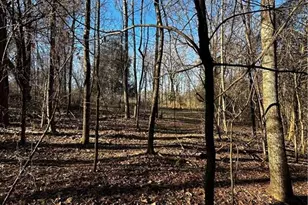 4624 Old Hopewell Church Rd, Trinity, NC 27370 - Photo 22