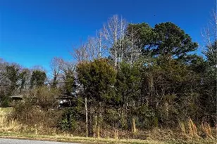 4624 Old Hopewell Church Rd, Trinity, NC 27370 - Photo 14