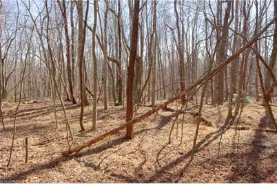 2482 Sisk Road, Lawsonville, NC 27022 - Photo 18