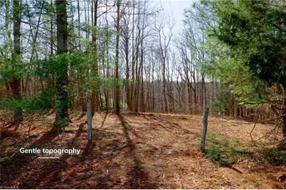 2482 Sisk Road, Lawsonville, NC 27022 - Photo 2